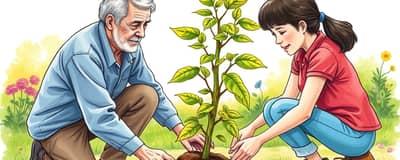 Além da Aposentadoria: Construindo um Legado Financeiro Duradouro